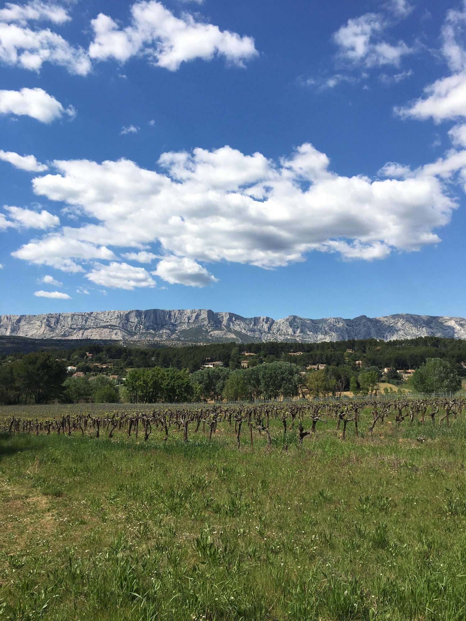 sainte-victoire-depuis-defend