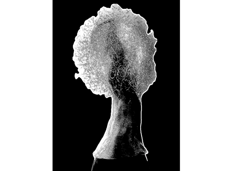 <em>Alexandra Pitz. Crédit photo. AP</em>