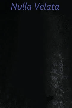 Daniel Roth, <em>Nulla Velata</em>.