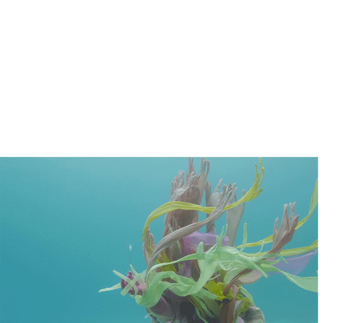 gif-weo